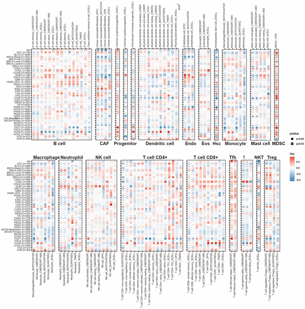 The correlations of HPDL expression and the infiltration levels of CD4+ T cells, CAF, progenitor, Endo, Eos, HSC, Tfh, gdT, NKT, regulatory T cells (Tregs), B cells, neutrophils, monocytes, macrophages, dendritic cells, NK cells, Mast cells and CD8+ T cells in cancers. Positive correlation in red and negative correlation in blue.