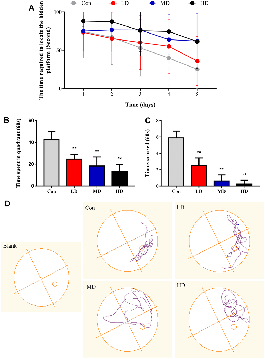 Performance of the different groups of mice in the Morris water maze test. (A) The time required to locate the hidden platform in the water maze during the learning stage. (B) The time elapsed in the correct quarter of the water maze during the probe trial. (C) Number of platform crossings in the four quadrants of the Morris maze during the probe trial. (D) Representative spatial and nonspatial probe trial tracings of four subjects. In the spatial version, the placement of the quadrant remained constant over trials. Con: Control group; LD: low dose group; MD: medium dose group; HD: high dose group. The values shown are the mean ± SD (neach group=12), Compared to control; ** p 