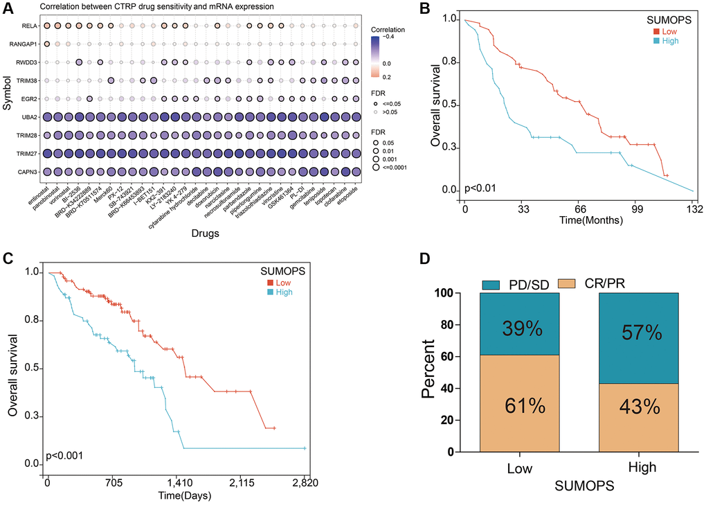 Prediction and correlation of the sensitivity to chemotherapy drugs in LUAD. (A) The correlation between GDSC drug sensitivity and SUMOPS gene expression. (B) The predictive value of SUMOPS in LUAD patients treated with chemotherapy in the GSE68465 cohort. (C) The predictive value of SUMOPS in LUAD patients treated with chemotherapy in the TCGA-LUAD cohort. (D) The correlation of UMOPS with response to chemotherapy in the TCGA-LUAD cohort.