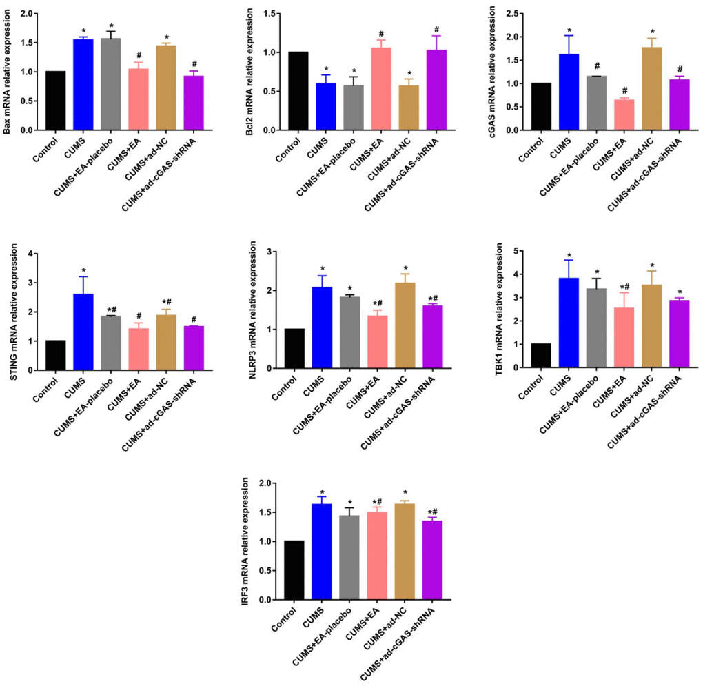 The impact of EA and knockdown of cGAS on the expression level of Bax, Bcl-2, cGAS, STING, TBK1, IRF3, and NLRP3 was determined by RT-PCR (*p