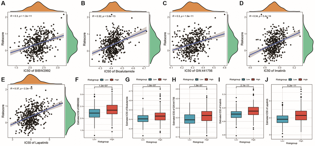 Correlation between risk score and chemotherapy drug resistance. (A–E) Scatter plots showing the correlation between risk score and drug IC50 values, with R representing the correlation coefficient and p-value indicating the significance of the correlation; (F–J) Box plots showing differences in drug IC50 values between high and low-risk groups.