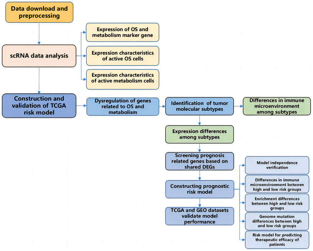 The workflow diagram of this present study.