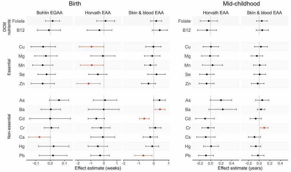 Effect estimates and 95% confidence intervals (CIs) for associations of first-trimester one carbon metabolism nutrients and metals with epigenetic gestational age acceleration (EGAA) and epigenetic age acceleration (EAA) at birth and in mid-childhood. EGAA and EAA were calculated from cord blood DNA methylation, and EAA was calculated from mid-childhood blood DNA methylation. Effect estimates (95% confidence intervals) are reported per one standard deviation (SD) increase in concentration from robust linear models evaluated separately for each nutrient and metal adjusting for child sex, race and ethnicity, nulliparity, maternal age at enrollment, pre-pregnancy BMI, education, income, smoking, and estimated cell type proportions. Significant associations (p 