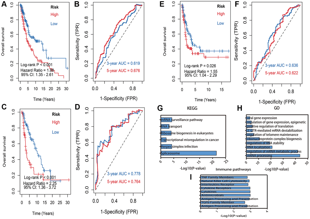 Kaplan–Meier survival analysis and pathway enrichment. (A) Kaplan–Meier survival analysis of risk model in train dataset. (B) 3, 5 years of the receiver operating characteristic (ROC) curves in train dataset. (C) Kaplan–Meier survival analysis of risk model in validation dataset. (D) 3, 5 years of the receiver operating characteristic (ROC) curves in validation dataset. (E) Kaplan–Meier survival analysis of risk model in GSE65904 dataset. (F) 3, 5 years of the receiver operating characteristic (ROC) curves in GSE65904 dataset. (G) Enriched Kyoto Encyclopedia of Genes and Genomes (KEGG) pathways of lncRNA-related mRNAs: X-axis means the -log10(p-value) of enrichment, Y-axis means pathway terms. (H) The biology process (BP) pathway enrichment of lncRNA-related: X-axis means the -log10(p-value) of enrichment, Y-axis means pathway terms. (I) The immune related pathway enrichment: X-axis means the -log10(p-value) of enrichment, Y-axis means pathway terms.
