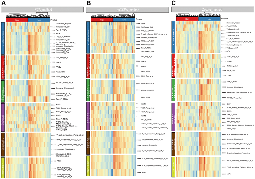 Associations between risk score and immune signatures. (A) Heatmap for immune related signatures between high and low risk subgroup based on Principal Component Analysis (PCA) method. (B) Heatmap for immune related signatures between high and low risk subgroup based on Single-sample Enrichment Analysis (ssGSEA) methods. (C) Heatmap for immune related signatures between high and low risk subgroup based on Z-score method.