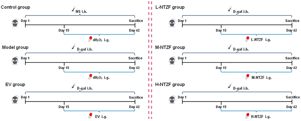 Overview of experimental scheme.