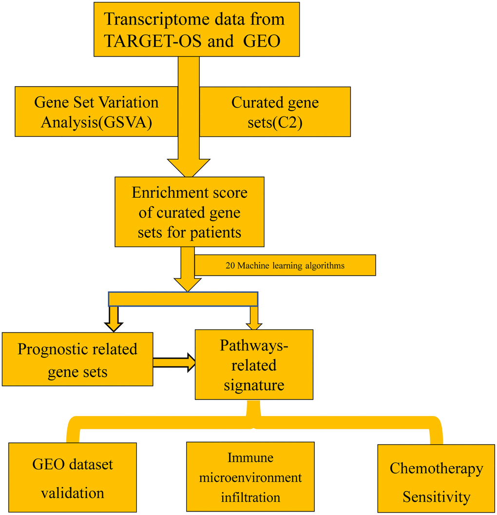 The main workflow of the study.