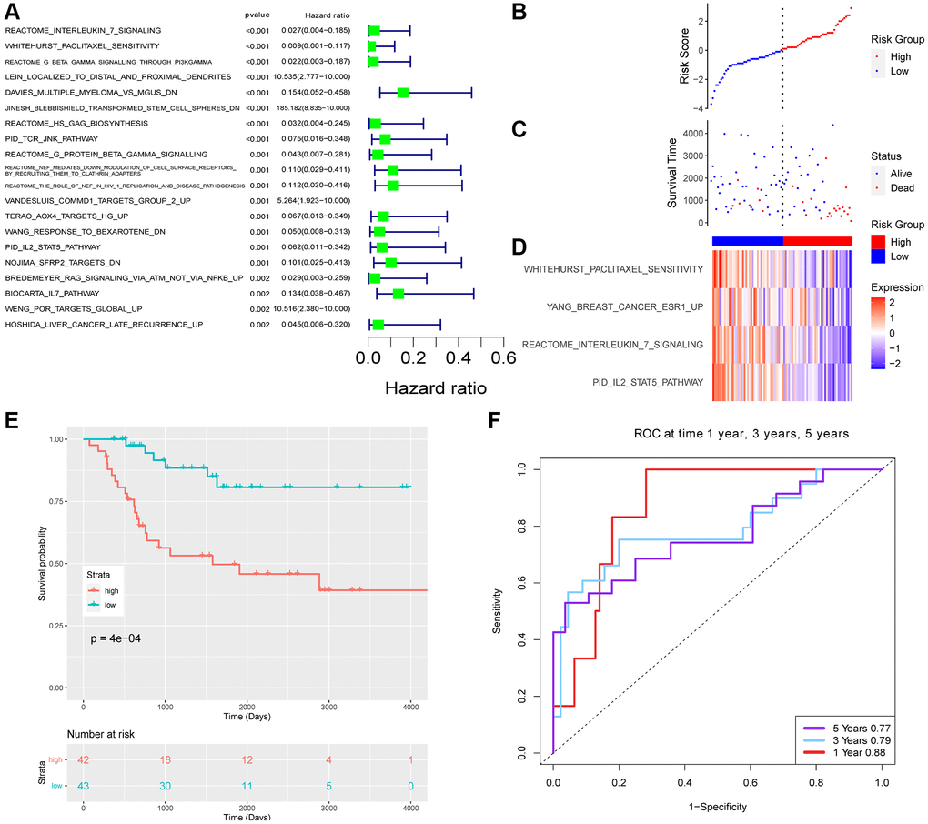 The risk signature of TARGET datasets. (A) Top 20 survival-related pathways with lowest p-value. Risk score (B) and survival time (C) distribution of TARGET. (D) The enrichment score of 4 pathways. (E) Survival analysis of two groups. (F) The ROC of the model.