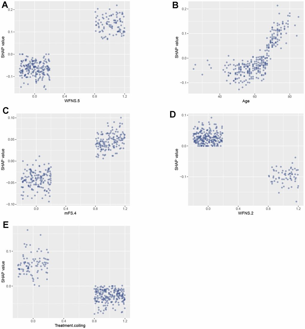 SAHP dependency plot illustrating the top 5 clinical features in the random forest model. (A) WFNS 5; (B) Age; (C) mFS 4; (D) WFNS 2; (E) Treatment coiling. WFNS, World Federation of Neurosurgical Societies; mFS, modified Fisher scale.