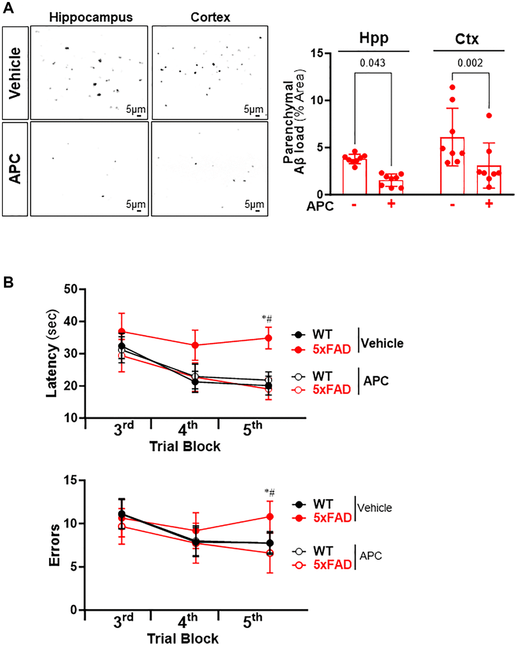 (A) Representative images and quantification of Aβ stained with thioflavin S in the hippocampus and cortex of 5xFAD mice treated with or without APC. (B) Radial arm water maze test showed the latencies to hidden platform and the errors happens in arms in WT and 5xFAD mice. N = 8, *p #p 