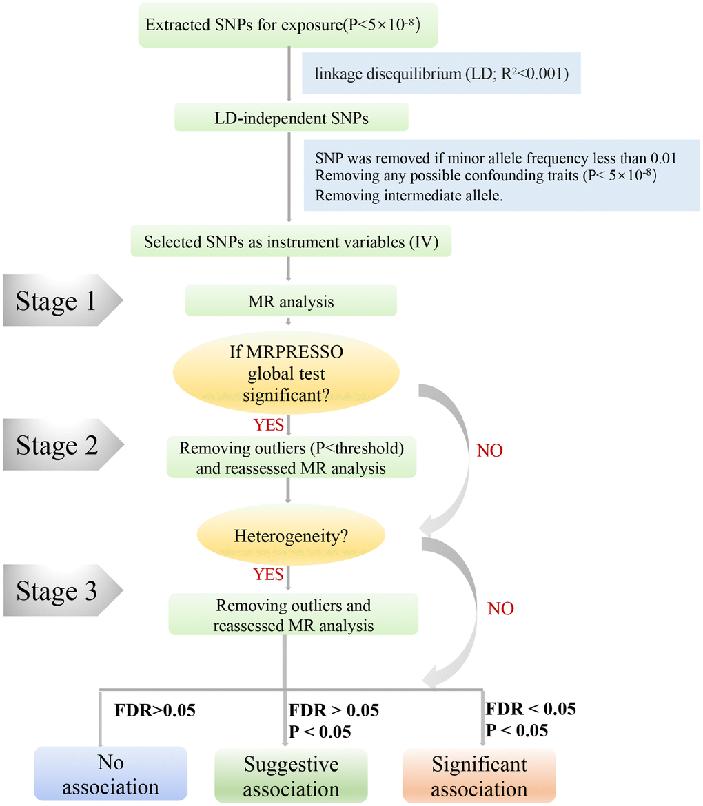 A step-by-step flow chart demonstrates the analytical methods employed and outlines the sequential execution of MR analysis. Step 1 involved conducting the MR analysis using the selected SNPs, followed by performing the MRPRESSO outlier test. If significance was detected (P P P-value below 1 and reevaluating the MR analysis.