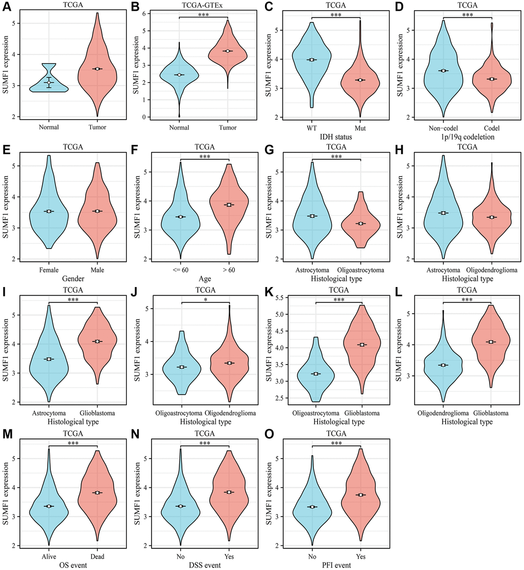 SUMF1 expression levels in glioma. (A) Normal vs. glioma in TCGA database; (B) Normal vs. glioma in the XNEA database; (C) Wild-type vs. mutant in IDH status; (D) Non-codel vs. codel in 1p/19q codeletion; (E) Female vs. Male in sex; (F) ≤60 vs. >60 in age; (G) Astrocytoma vs. oligoastrocytoma; (H) Astrocytoma vs. oligodendroglioma; (I) Astrocytoma vs. glioblastoma; (J) Oligoastrocytoma vs. oligodendroglioma; (K) Oligoastrocytoma vs. glioblastoma; (L) Oligodendroglioma vs. glioblastoma; (M) Alive vs. dead in OS; (N, O) No vs. yes in DSS and PFI. Abbreviations: DSS: disease-specific survival; IDH: isocitrate dehydrogenase; OS: overall survival; PFI: progression-free interval.