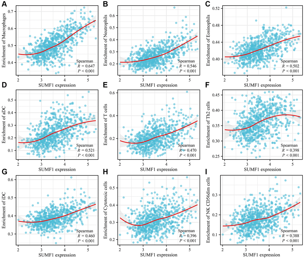 Correlation between SUMF1 and glioma immune cells. (A) Macrophages; (B) Neutrophils; (C) Eosinophils; (D) aDC; (E) T cells; (F) Th2 cells; (G) iDC; (H) Cytotoxic cells; (I) NK CD56dim cells.