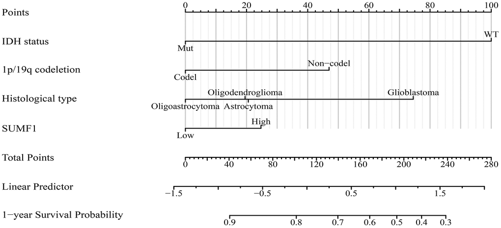 SUMF1-related nomogram of PFI for glioma patients. Abbreviations: PFI: progression-free interval.