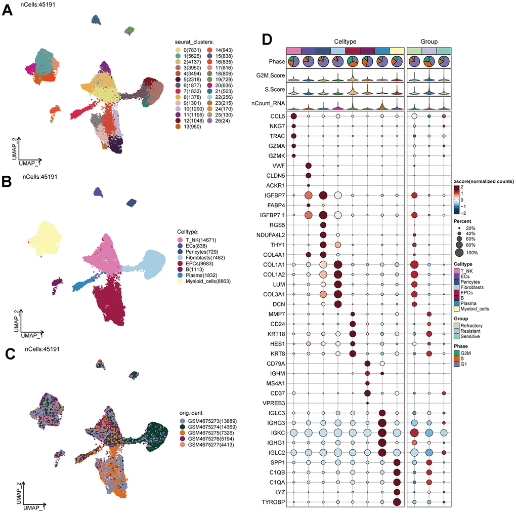 Ovarian cancer cell cluster classification. (A) A total of 28 clusters were identified after clustering 5 ovarian cancer patients. (B) Ovarian cancer cells were annotated into T