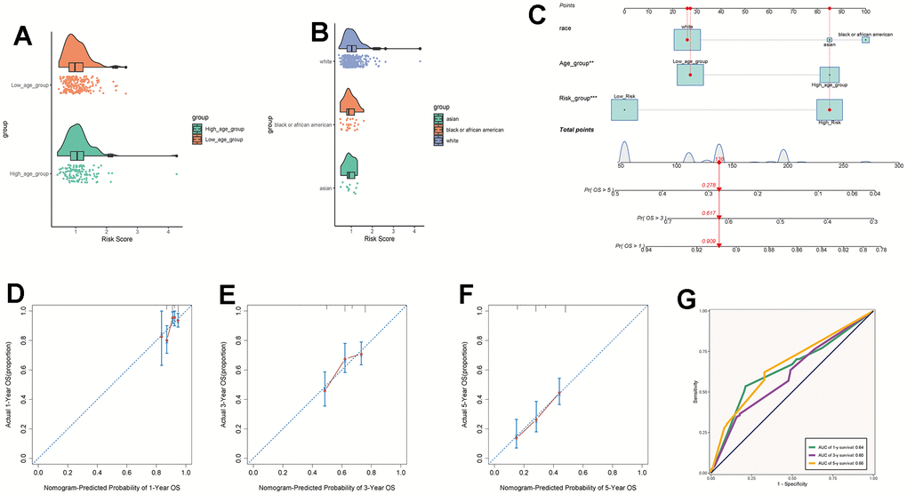 Clinical relevance analysis. (A, B) Analysis of the correlation between risk scores and age as well as ethnicity factors. (C) Survival curves for ovarian cancer patients at 1-year, 3-year, and 5-year intervals. (D–F) Nomo model charts for 1-year, 3-year, and 5-year OS tests. (G) Time-dependent ROC curve graphs with AUC values of 0.64, 0.60, and 0.66 for 1-year, 3-year, and 5-year intervals, respectively.