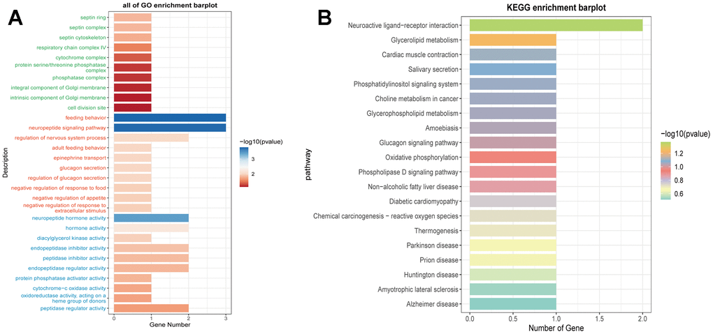 Enrichment analysis of prognostic genes. (A) Functional enrichment analysis of prognostic genes using GO terms. (B) Functional enrichment analysis of prognostic genes using KEGG pathways.