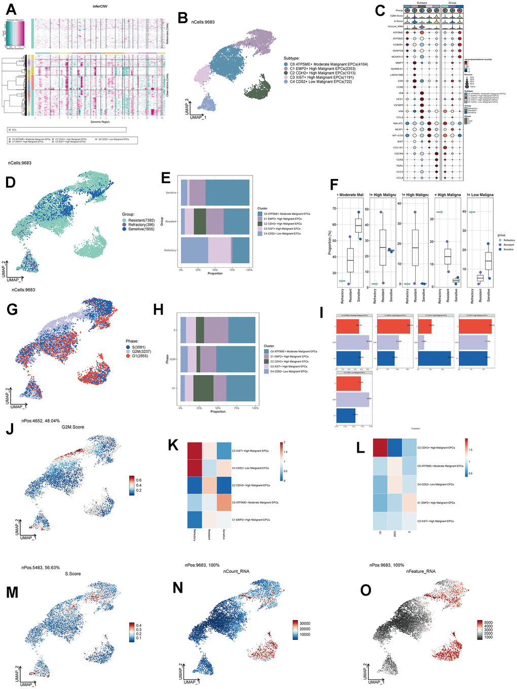 Subgroup analysis of EPCs and related data. (A) Heatmap showing CNV status of subgroup cells. (B) UNMP distribution of subgroup cells. (C) Expression patterns of the top 5 signature genes in each subgroup. (D) UNMP distribution of drug responses in subgroup cells. (E) Proportion of subgroup cells within the Resistant, Refractory, and Sensitive response groups. (F) Proportion of subgroup cells within the Resistant, Refractory, and Sensitive response groups and their facets were shown. (G) UNMP distribution of cell staging in subgroup cells. (H) Proportion of subgroup cells within the G2M, S, and G1 cell staging phases. (I) Proportion of subgroup cells within the G2M, S, and G1 cell staging phases and their facets were shown. (J) UNMP distribution of G2M.Score. (K, L) Abundance of subgroup cells concerning drug response groups and cell staging. (M–O) UNMP distribution of S.Score, nFeature, and nCount.