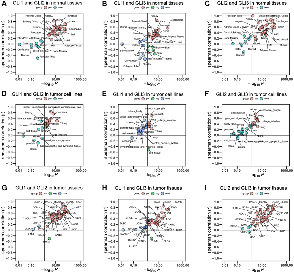 Correlation between GLI1, GLI2, and GLI3. Correlation of (A) GLI1 and GLI2, (B) GLI1 and GLI3, (C) GLI2 and GLI3 in normal tissues. Correlation of (D) GLI1 and GLI2, (E) GLI1 and GLI3, (F) GLI2 and GLI3 in tumor cell lines. Correlation of (G) GLI1 and GLI2, (H) GLI1 and GLI3, (I) GLI2 and GLI3 in tumor tissues.