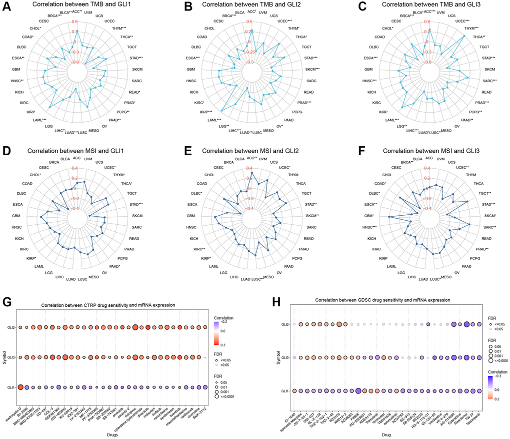 Relationship of GLI1, GLI2, and GLI3 with TMB, MSI, and drug sensitivity. The Relationship of GLI1, GLI2, and GLI3 expression with TMB (A–C) and MSI (D–F). Drug sensitivity analysis in CTRP database (G) and GDSC database (H).