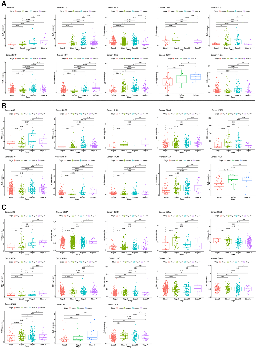 Correlation between GLI1 (A), GLI2 (B), and GLI3 (C) expression with clinical stage in cancer patients.