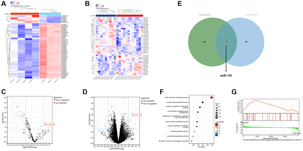 Bioinformatics analysis results. (A, B) Heatmaps of clustered differentially expressed genes (DEGs) in GSE24591 and GSE76591. (C, D) Volcano plots of DEGs in GSE24591 and GSE76591. (E) Venn diagram. (F) KEGG pathways. (G) GSEA.