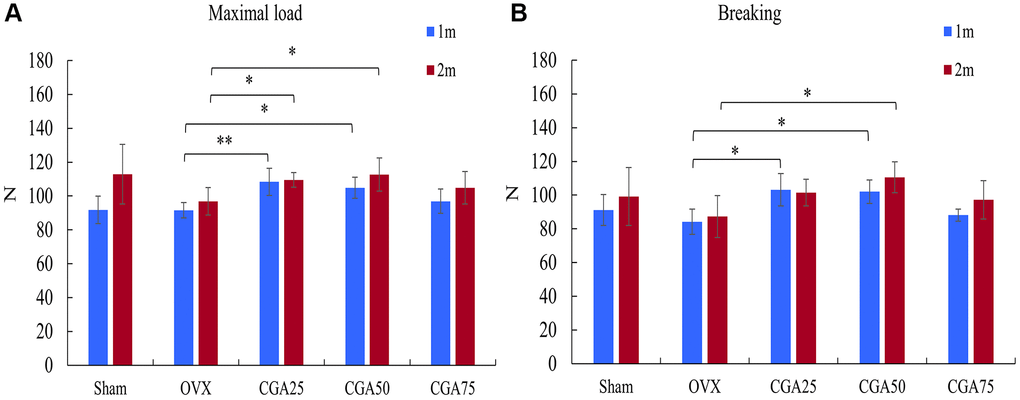 Chlorogenic acid reversed OVX-reduced biomechanical properties. The mechanical properties of femurs were evaluated by three-point bending tests. (A) Loading force to maximal load. (B) Loading force to tissue fracture. *p 