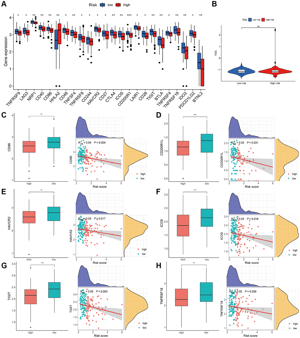 Estimation of the HARlncRNA signature in immunotherapy response. (A) Expression of ICGs in different risk groups. (B) Differences of TIDE score between the high- and low-risk groups. (C–H) Correlation of risk score with immune checkpoints. *P **P ***P 