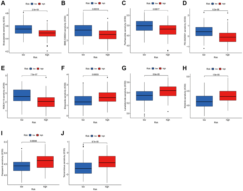 Relationships between risk score and therapeutic sensitivity. (A) Bicalutamide. (B) BMS.536924. (C) Parthenolide. (D) PD.0325901. (E) RDEA119. (F) Etoposide. (G) Lenalidomide. (H) Nilotinib. (I) Pazopanib. (J) Temsirolimus.