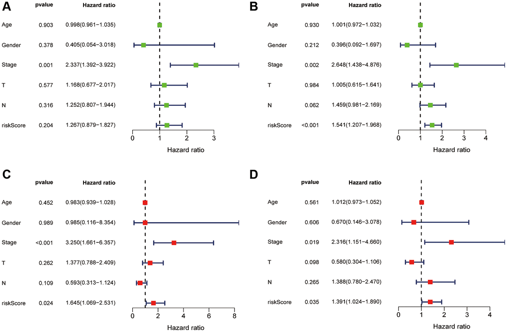 Independent prognostic value of risk score. Univariate Cox regression analysis of risk score in the training (A) and test sets (B). Multivariate Cox regression analysis also confirmed risk score as an independent prognostic factor for the training (C) and test sets (D).