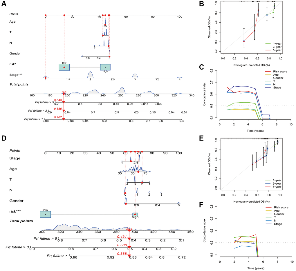 Construction and verification of nomogram. (A) Nomogram construction based on the risk score and ESCA-related clinical parameters in the TCGA-ESCA cohort. (B) Calibration plots of the nomogram in the TCGA-ESCA cohort. (C) C-index curves of the nomogram in the TCGA-ESCA cohort. (D) Nomogram construction based on the risk score and ESCA-related clinical parameters in the GSE53624 cohort. (E) Calibration plots of the nomogram in the GSE53624 cohort. (F) C-index curves of the nomogram in the GSE53624 cohort. *P **P ***P 