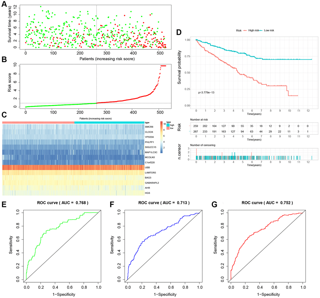 Internal validation of the novel LDCD-RGs related prognostic model in the test2 cohort. (A) KIRC patients were classified according to the median risk score. (B) Survival status and risk score distribution of KIRC patients. (C) The heatmap displays the expression levels of 14 hub LDCD-RGs between high and low-risk score subgroups. (D) Comparison of prognosis in high and low-risk groups of KIRC using Kaplan-Meier survival curve analysis. (E–G) The AUC values for the ROC curves corresponding to the 1-year, 3-year, and 5-year survival rates were computed at 0.768, 0.713, and 0.752, respectively. Abbreviations: LDCD-RGs: LDCD-related genes; KIRC: kidney renal clear cell carcinoma; AUC: Area Under the Curve; ROC: Receiver Operating Characteristic.