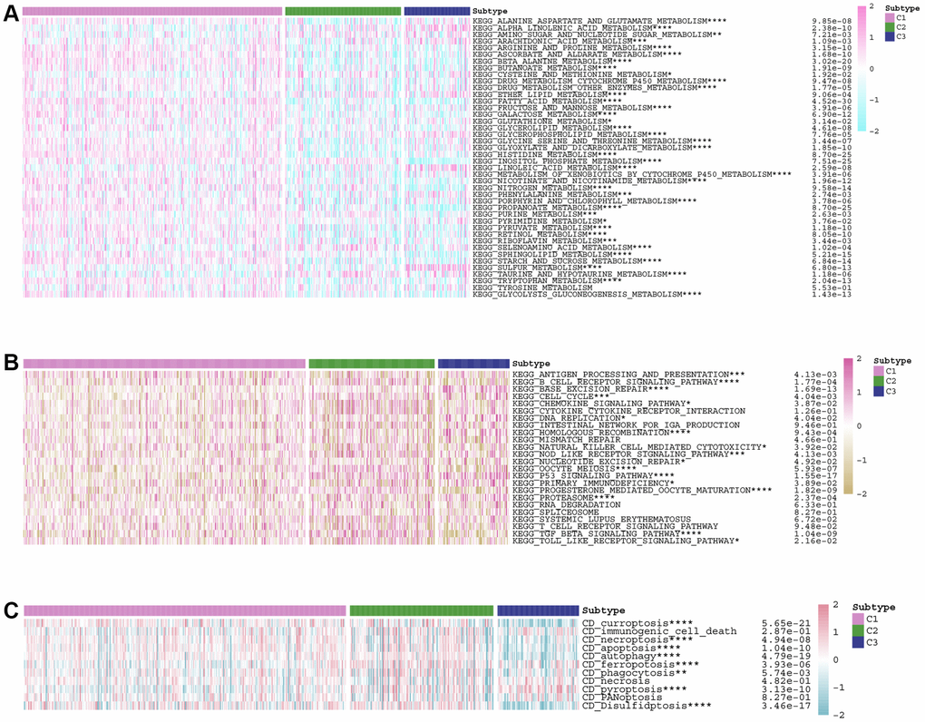 Correlations between the LDCD-RGs score and the classical cancer-related metabolic, immune and cell death pathways. (A) Analysis of differences in activity of classical metabolic pathways among 3 subgroups of KIRC. (B) Analysis of differences in activity of classical immune pathways among 3 subgroups of KIRC. (C) Analysis of differences in activity of classical cell death pathways among 3 subgroups of KIRC. (*p **p ***p ****p 