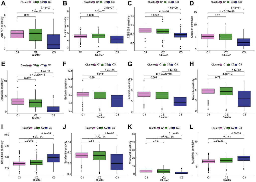 Conducting drug sensitivity analysis across the three KIRC subgroups. (A–L) The box plots illustrate the IC50 values of 12 commonly used chemotherapy drugs among three subgroups. These 12 chemotherapy drugs include: ABT737, axitinib, AZD8055, cisplatin, dasatinib, gefitinib, lapatinib, nilotinib, savolitinib, sorafenib, vorinostat, ruxolitinib. The box plot highlights statistically significant differences in drug sensitivity between different KIRC subgroups. Abbreviations: KIRC: kidney renal clear cell carcinoma.