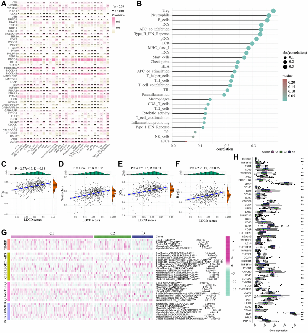 Correlations between the LDCD-RGs score and tumor immune microenvironment in the 3 clusters. (A) The heat mapping demonstrated a correlation between immune-cell infiltration and LDCD. (B) The bubble plot underscored the interconnectedness of immune infiltration-associated cell types with LDCD. (C–F) The scatter plots illustrating the correlation analysis between LDCD-RGs scores and quantification of four types of immune cell infiltration (Treg cells, neutrophils, B cells, and dendritic cells). All four types of immune cells show a positive correlation with LDCD-RGs scores. (G) Heatmap showed the immune cell infiltration levels by TIMER, CIBERSORT, QUANTISEQ, and the MCPCOUNTER algorithm. (H) The box plots encompassed the examination of ICGs in 3 clusters. (*p **p ***p ****p 