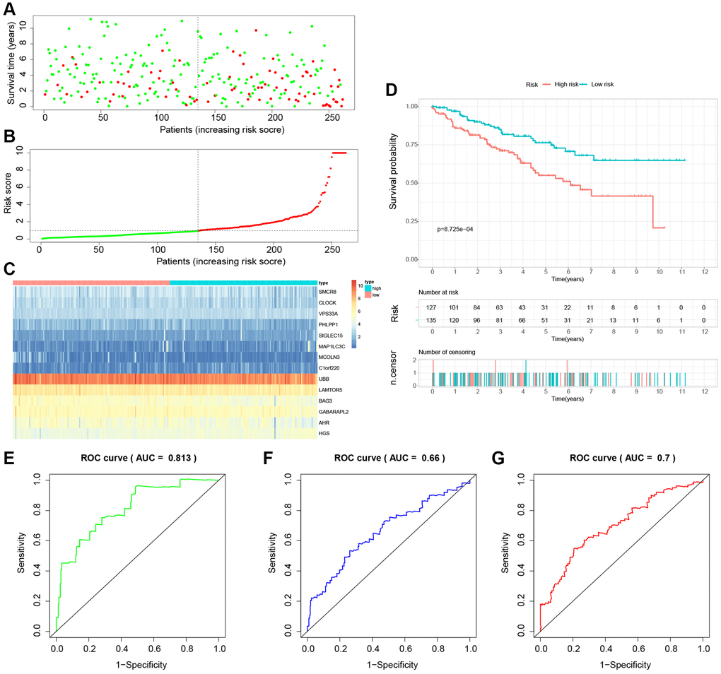 Internal validation of the novel LDCD-RGs related prognostic model in the test1 cohort. (A) KIRC patients were classified according to the median risk score. (B) Survival status and risk score distribution of KIRC patients. (C) The heatmap displays the expression levels of 14 hub LDCD-RGs between high and low-risk score subgroups. (D) Comparison of prognosis in high and low-risk groups of KIRC using Kaplan-Meier survival curve analysis. (E–G) The AUC values for the ROC curves corresponding to the 1-year, 3-year, and 5-year survival rates were computed at 0.813, 0.660, and 0.700, respectively. Abbreviations: LDCD-RGs: LDCD-related genes; KIRC: kidney renal clear cell carcinoma; AUC: Area Under the Curve; ROC: Receiver Operating Characteristic.