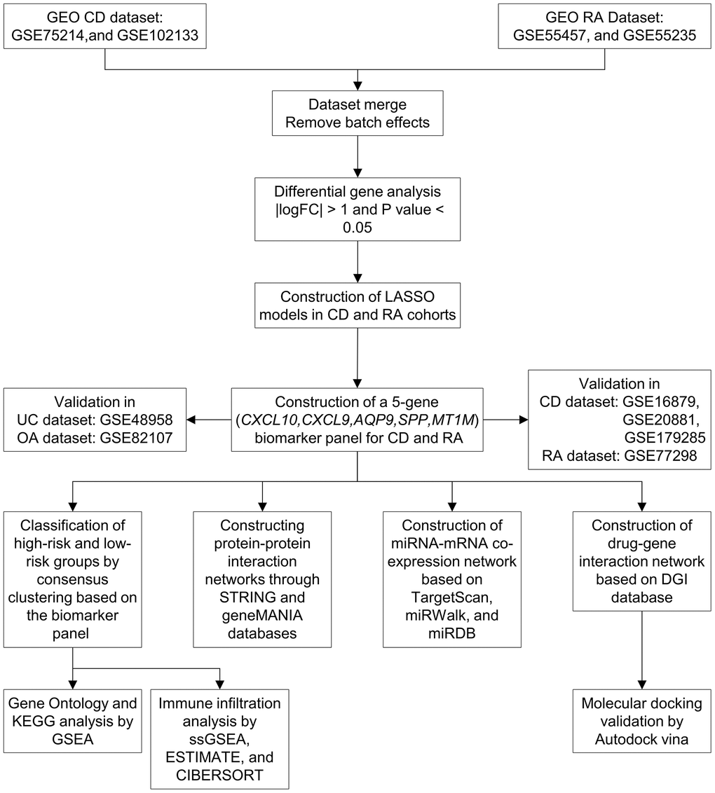 Workflow of the study. Abbreviations: GEO: Gene Expression Omnibus; CD: Crohn’s disease; RA: rheumatoid arthritis; LASSO: least absolute shrinkage and selection operator; UC: ulcerative colitis; OA: osteoarthritis; KEGG: Kyoto Encyclopedia of Genes and Genomes; GSEA: gene set enrichment analysis.