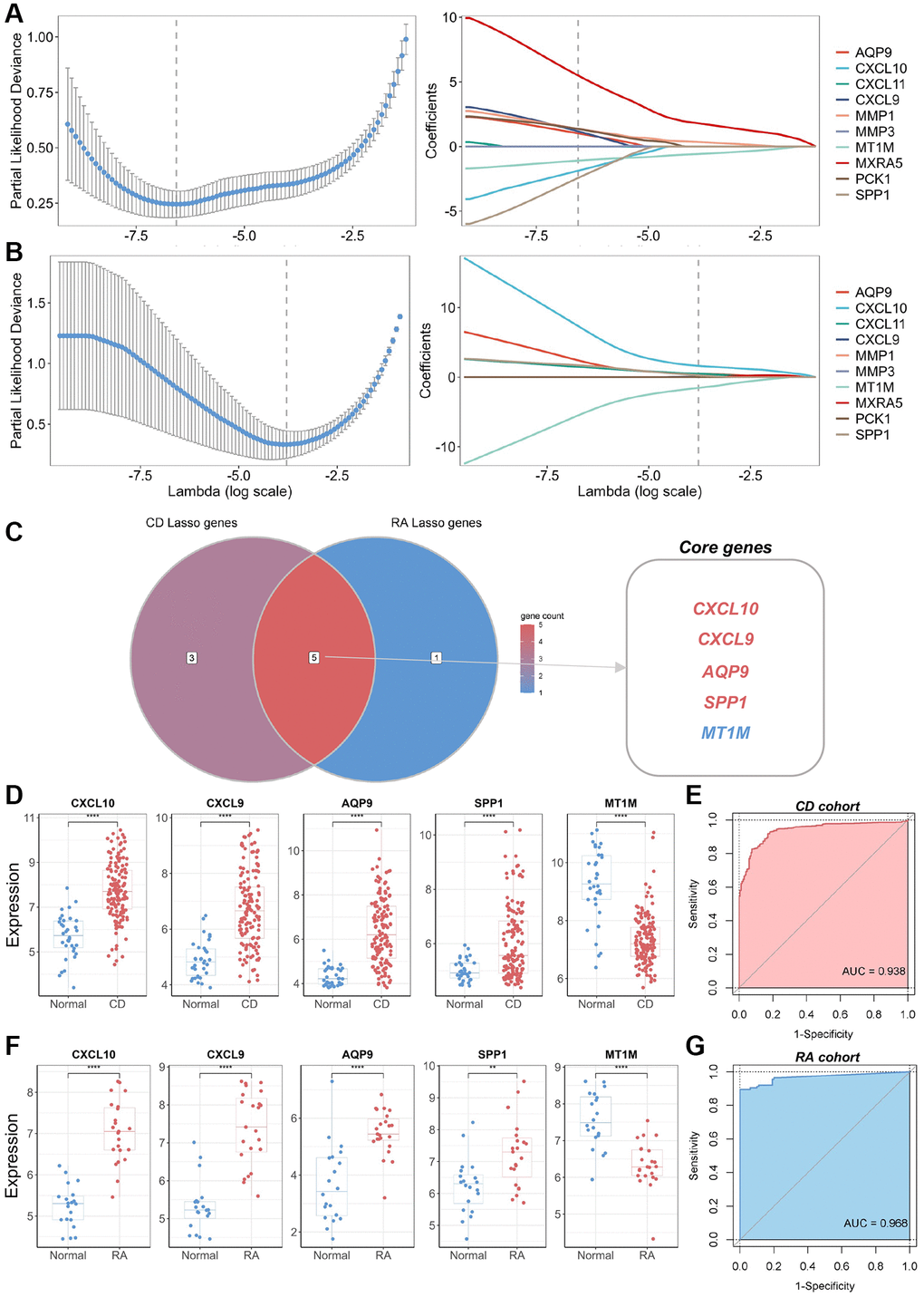 Identification of core genes and construction of a biomarker panel for the diagnosis of CD and RA. (A) Graph depicting the best LASSO model parameters and coefficients in the CD discovery cohort. (B) Graph depicting the best LASSO model parameters and coefficients in the RA discovery cohort. (C) Venn diagram displaying core genes in the CD and RA discovery cohorts. (D) Differential expression analysis of five core genes in the CD discovery cohort. (E) ROC analysis and AUC calculation for determining the diagnostic utility of a biomarker panel consisting of the five core genes in CD. (F) Differential expression analysis of five core genes in the RA discovery cohort. (G) ROC analysis and AUC calculation for determining the diagnostic utility of a biomarker panel consisting of the five core genes in RA. Abbreviations: LASSO: least absolute shrinkage and selection operator; CD: Crohn’s disease; RA: rheumatoid arthritis; ROC: receiver operating characteristic; AUC: area under the curve. **P ****P 