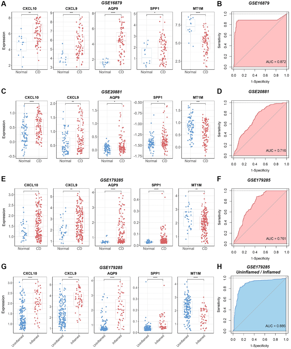 Verification of the diagnostic utility of the biomarker panel in CD validation cohorts. (A) Expression analysis and (B) ROC curve analysis of core genes in the GSE16879 dataset. (C) Expression analysis and (D) ROC curve analysis of core genes in the GSE20881 dataset. (E) Expression analysis and (F) ROC curve analysis of core genes in the GSE179285 dataset. (G) Core gene expression analysis and (H) ROC curve analysis of samples with and without inflammation in the GSE179285 dataset. Abbreviations: ROC: receiver operating characteristic; AUC: area under the curve. *P **P ***P ****P 