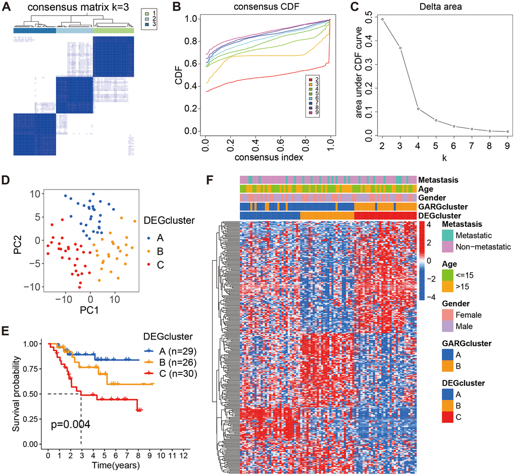 Consensus cluster analysis based on the DEGs. (A) The consensus matrix when k = 3. (B, C) The CDF curve for k = 2-9. (D) PCA plot of the three subtypes. (E) Kaplan-Meier survival analysis of the three subtypes. (F) Comparison of DEGs expression and clinical characteristics between the three subtypes.