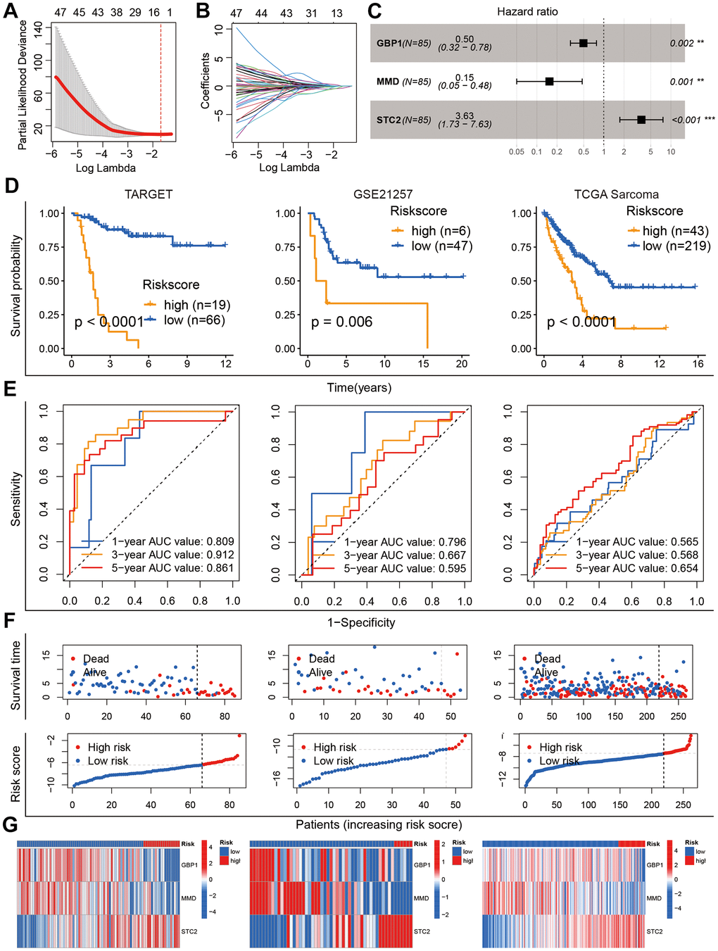 Construction and validation of the GARGs risk model. (A, B) LASSO regression analysis of 186 prognostic GARGs. (C) Multivariate Cox regression analysis. (D) Kaplan-Meier curves in the TARGET, GSE21257 and TCGA-SARC cohorts. (E) The AUC for the prediction of 1, 3, 5 years survival rate. (F) Distribution of survival status and risk scores. (G) Heatmap of the three model genes between the high- and low-risk groups.