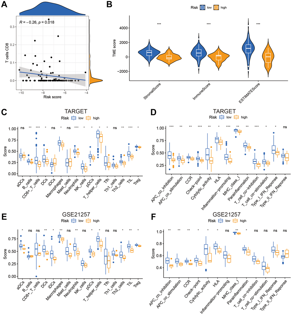 The risk score was related to immune infiltration. (A) The association between risk score and immune cell infiltration. (B) Risk score was significantly correlated with stromal scores, immune scores, and ESTIMATE scores. (C–F) Relationship between risk score and immune cell infiltration and related functions via ssGSEA analysis. *P