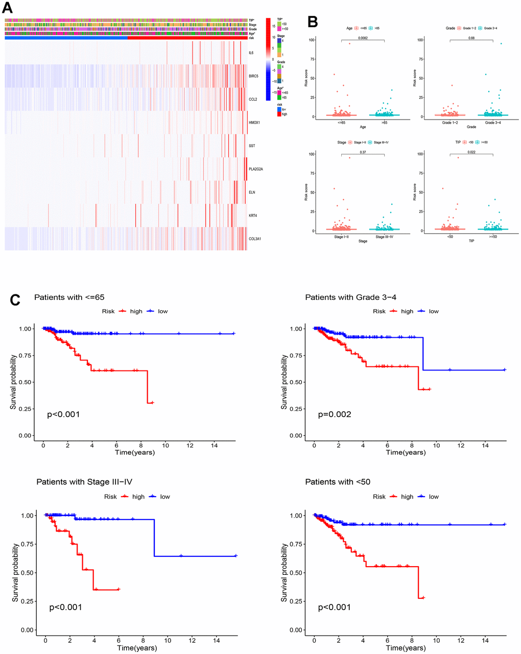 Clinicopathological analysis of the ICD-related prognostic model. (A) There were significant differences in total TIP and age between high and low-risk groups, *p B) Relationships between the risk score and clinicopathological characteristics of EC patients; (C) KM curves for OS prediction in EC subtypes of Age ≤ 65 years, Grade 3-4, Stage III–IV and TIP 