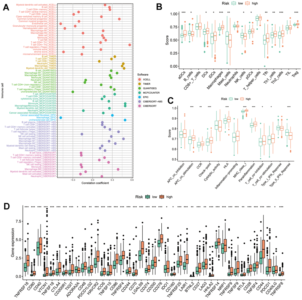 TRSSys-based TIME analysis. (A) Correlation bubble plot between the degree of immune cell infiltration and risk score. (B, C) Differences in immune cell scores and immune function scores across risk subgroups. (D) Differences in expression of immune checkpoints across risk subgroups.