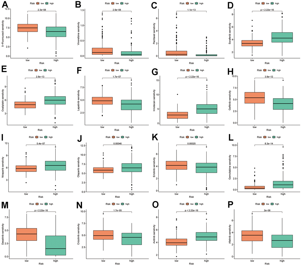 TRSSys-based IC50 analysis. (A–P) Therapy response of common chemotherapy and targeted drugs for risk groups.