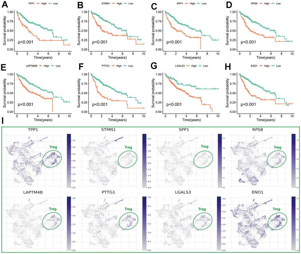 Assessment of TRSSys-related genes in HCC. (A–H) K-M curves of the 8 TRSSys-related for OS in the TCGA cohort. (I) The expression of TRSSys-associated TRGs in Tregs of GSE98638 cohort.