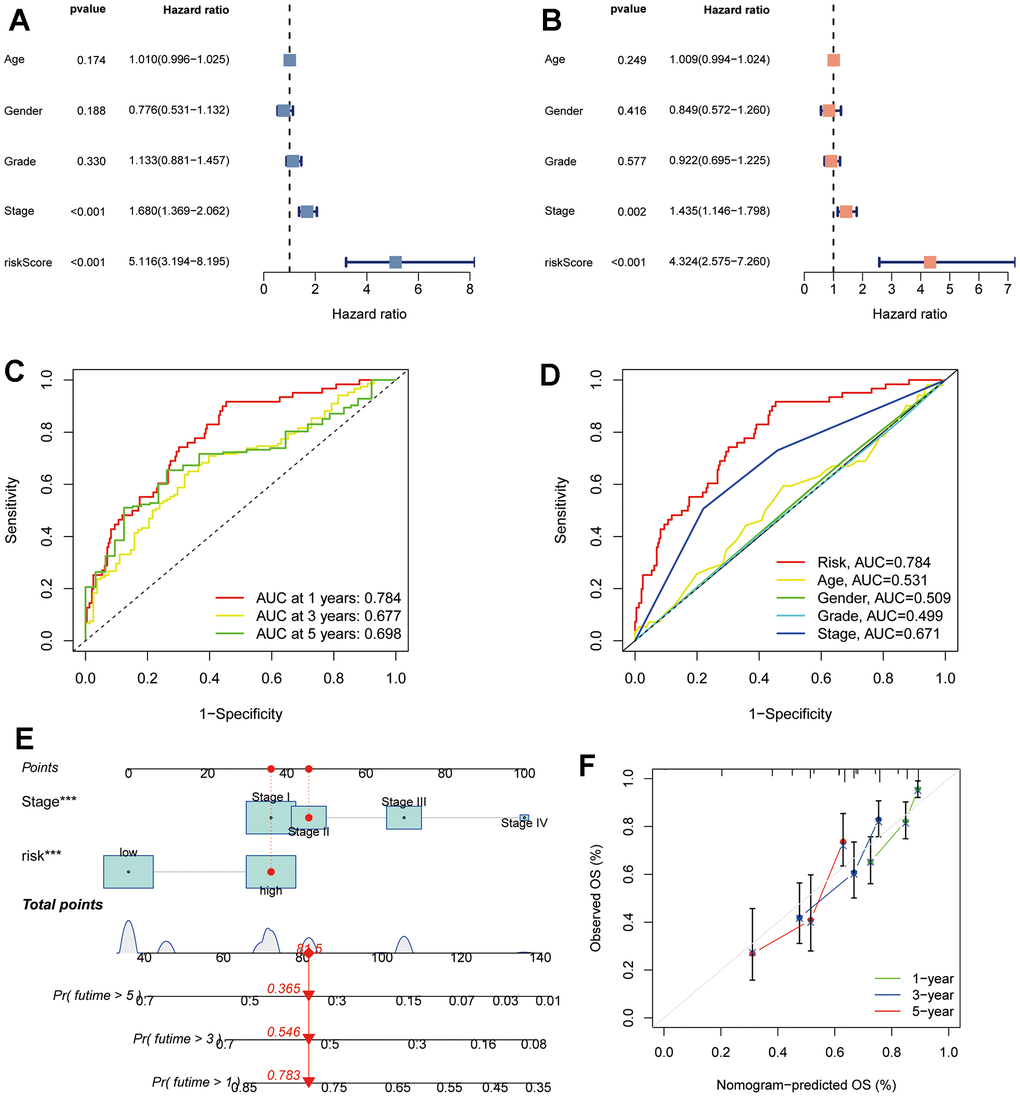 Assessment of TRSSys in HCC. (A, B) Forest plots for univariate (A) and multivariate Cox (B) regression analysis in the TCGA cohort. (C) ROC curves for the TRSSys in the TCGA cohort. (D) Comparison of the TRSSys with clinicopathological parameters in the TCGA cohort. (E) Nomogram for predicting OS in HCC. (F) Calibration curves for nomogram. *P P P 