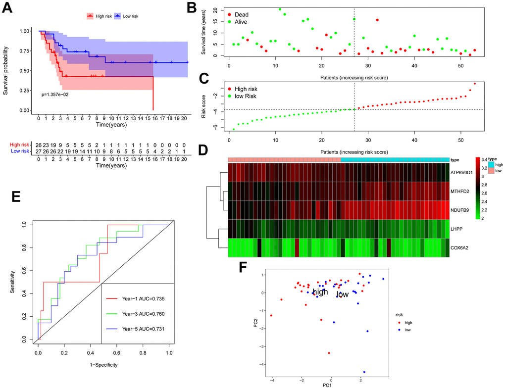 GSE21257 data was used as a validation group to verify the effectiveness of the risk scoring model in predicting survival. (A) Kaplan-Meier survival analysis; (B) Scatter chart: green represents survival during follow-up, red represents death during follow-up, abscissa represents risk score, and ordinate represents survival time. (C) Risk curve. (D) Heat map of gene expression in 53 patients with osteosarcoma. (E) Time ROC graph. (F) PCA dimensionality reduction analysis chart.