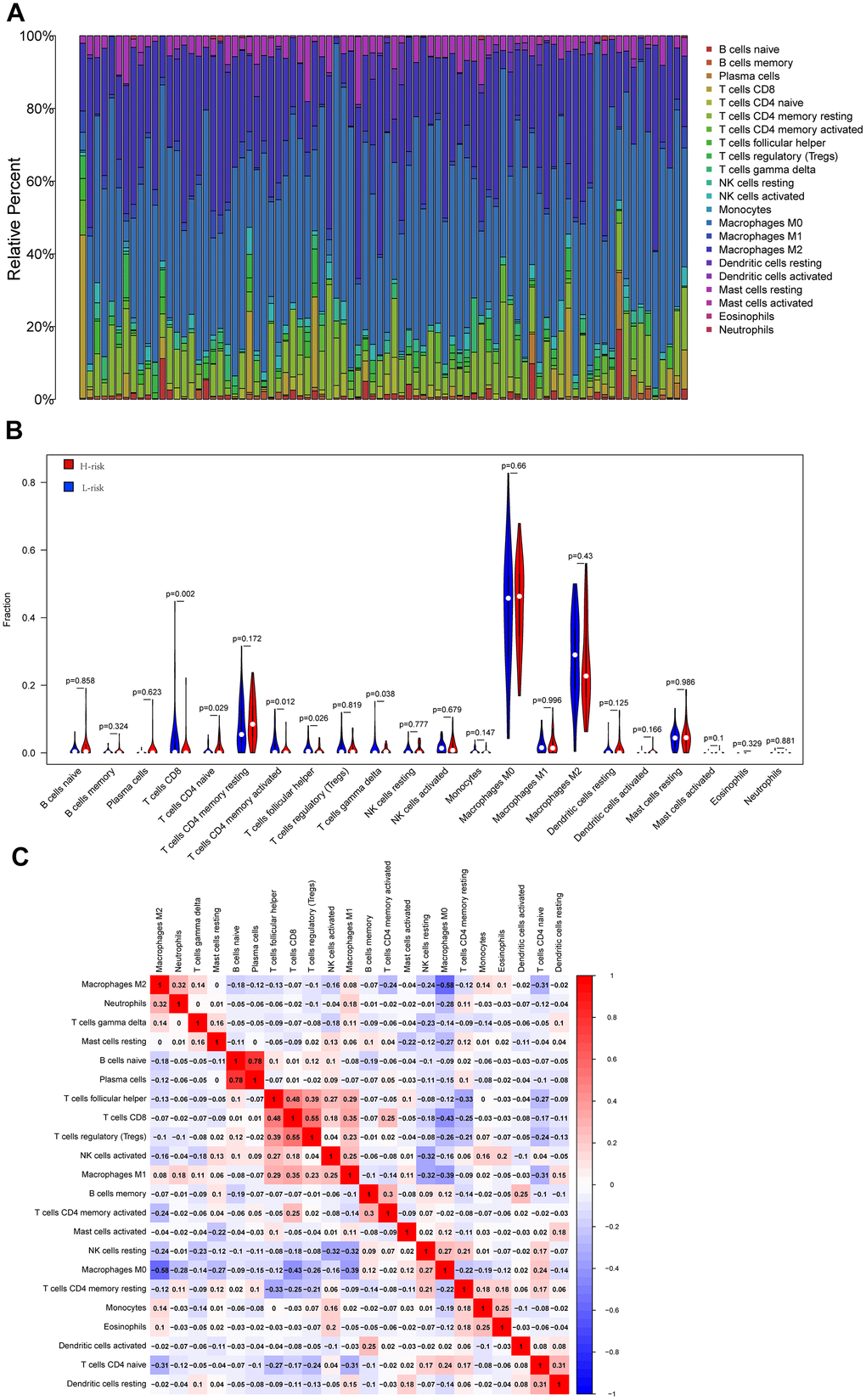 Cibersort analysis results. (A) The relative proportion of immune cells in 84 osteosarcoma patients; (B) The violin diagram shows the difference in the proportion of immune cell infiltration between the low-risk group and the high-risk group. (C) Correlation between immune cells.