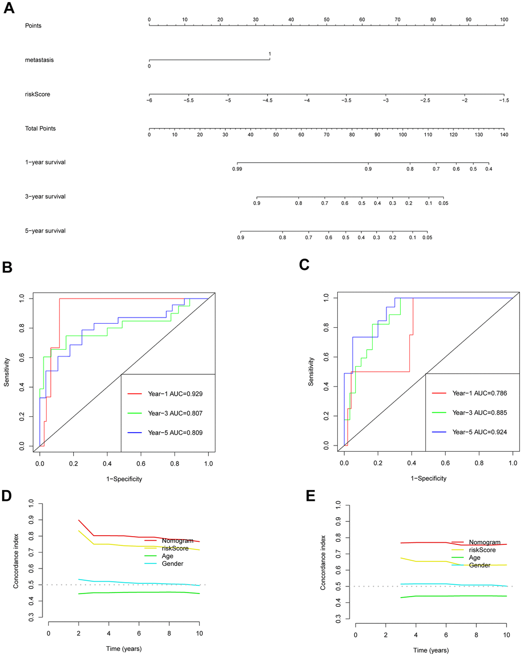 Validation of the prognostic model nomogram. (A) Nomogram. (B) Time ROC curve of training set. (C) Time ROC curve of the validation set. (D) The C-index calibration curve for age, gender, risk score, and nomogram of the training set. (E) Validate the C-index calibration curve for age, gender, risk score, and nomogram.